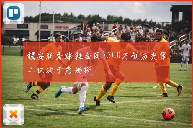 锡安新秀球鞋合同7500万创历史第二仅次于詹姆斯